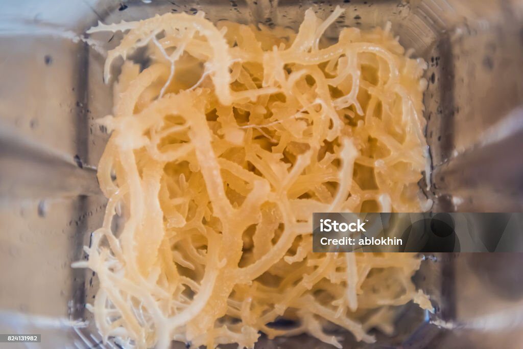 does sea moss help with erectile dysfunction?